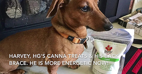 Seeing Is Believing HG Canna Canines